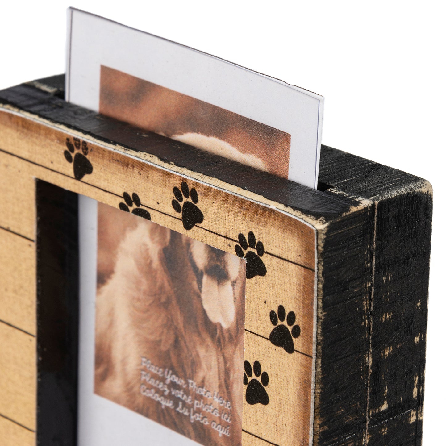 Pet Box Frame - 3.25" x 4" x 1" - You Would Have Lived Forever